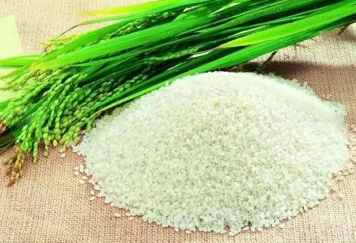 糧食戰爭：美國大米“入侵”將怎樣改變市場格局？